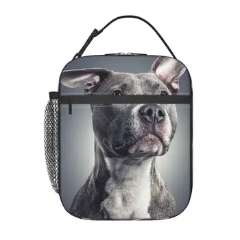 Pit Bull Dog Pet Design Студенческая Школьная Сумка Для Ланча Oxford Lunchbag для Офисных Путешествий Кемпинга Тепловой Охладитель Ланч-Бокс