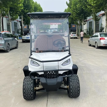 Tao Motor 2023, китайский новый дизайн, электрические тележки для гольфа 48 В, электрические