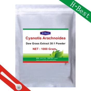 Бесплатная доставка Экстракт росяной травы 30:1, Cyanotis arachnoidea, экдизон Порошок экдистерона